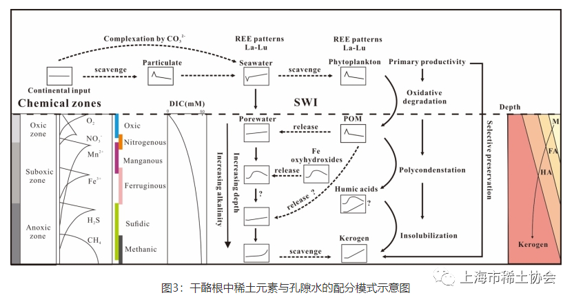 赵冠宇等-cg：干酪根中稀土元素来自表层海水还是成岩孔隙水？