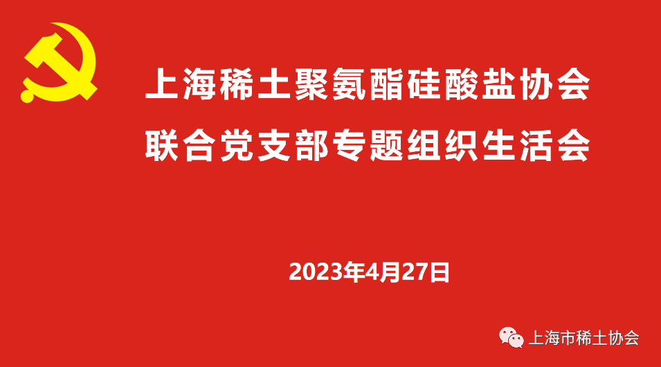 协会联合支部召开专题组织生活会